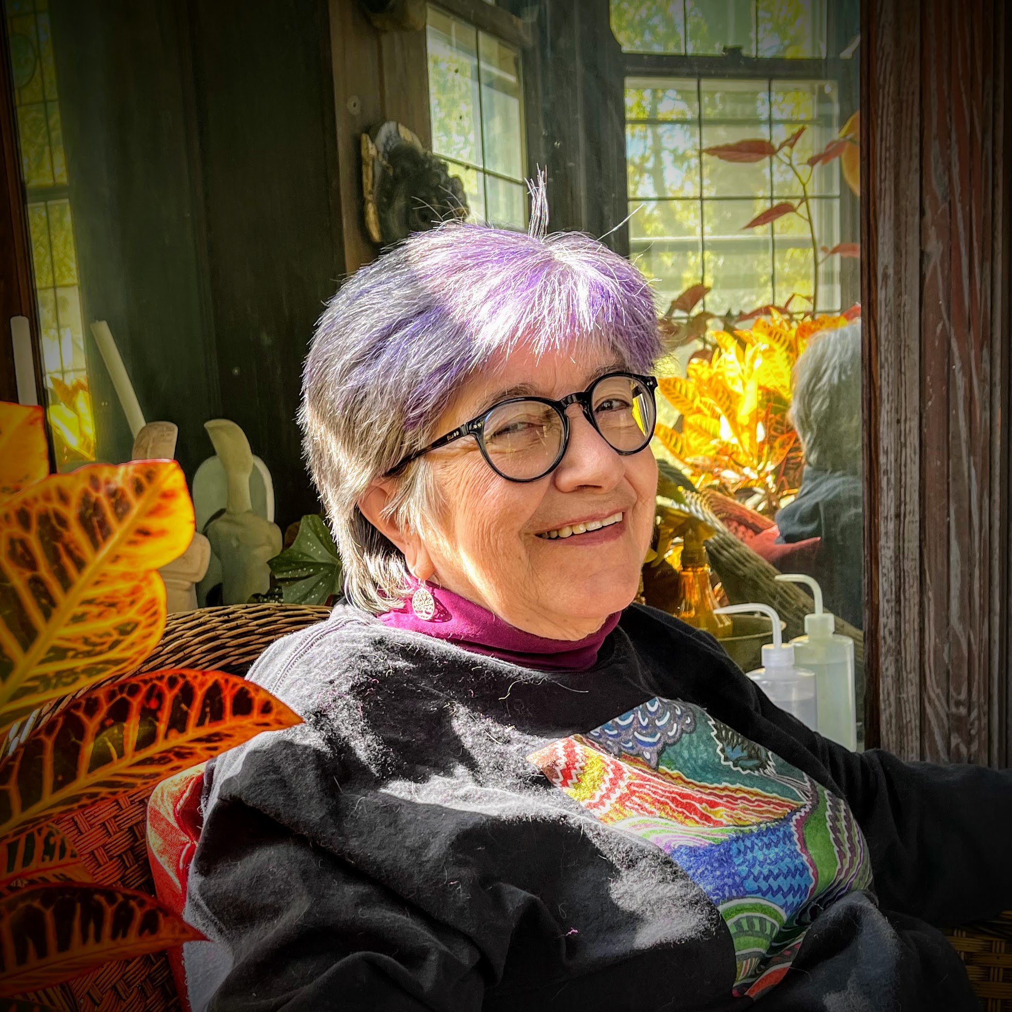 Diana Martens, Artist